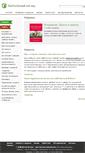 Mobile Screenshot of biblicalview.ru